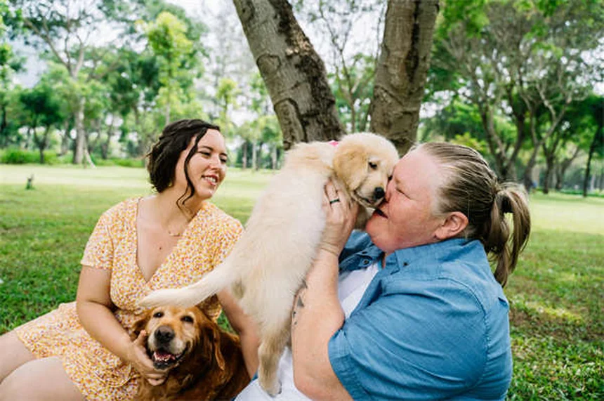 ¿Puedes cambiar el nombre a tu mascota adoptada? Guía completa